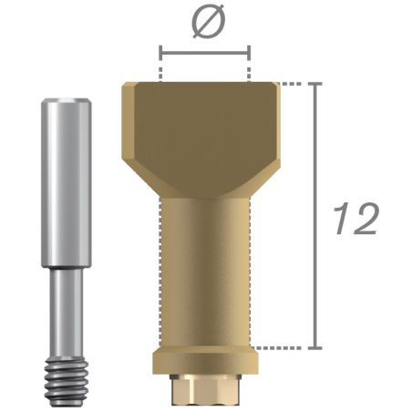 Corps de scannage sur implant + vis - Aesthetica+² Ø 6.5 WP 50% de réduction en Octobre 2024