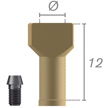 Corps de scannage sur implant + vis - Aesthetica+² Ø 6.5 WP Découvrez la collection