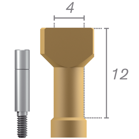 Scanbody + vis - Connexion hexagonale externe RP Véritable concentré