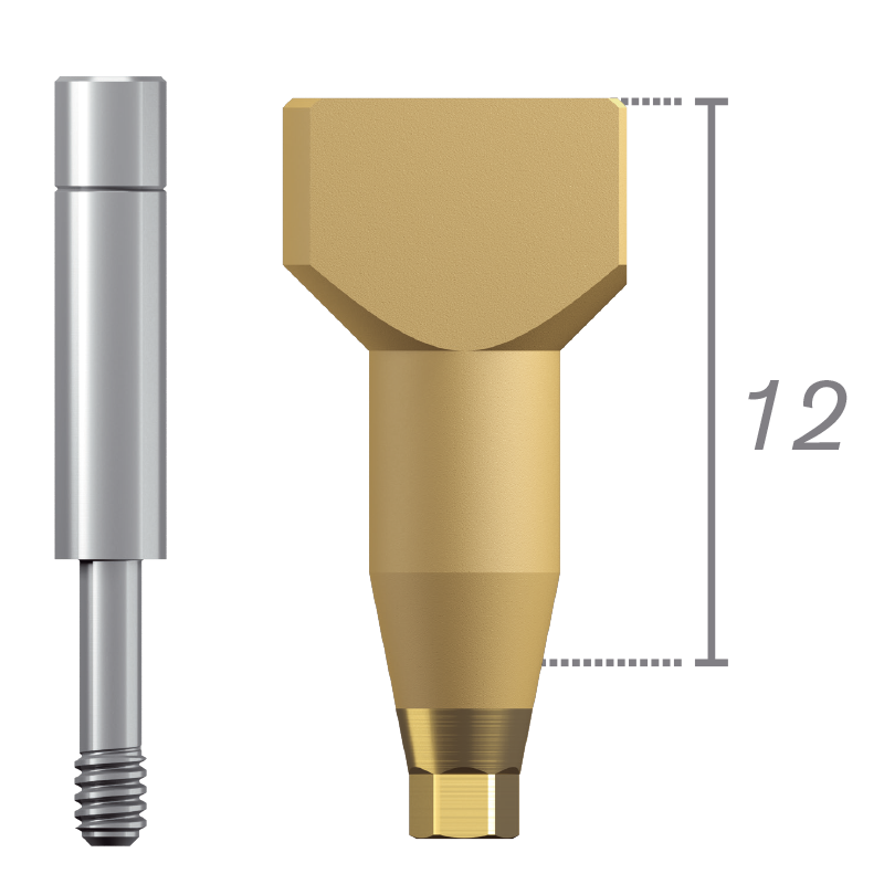 Scanbody direct implant + vis destockage