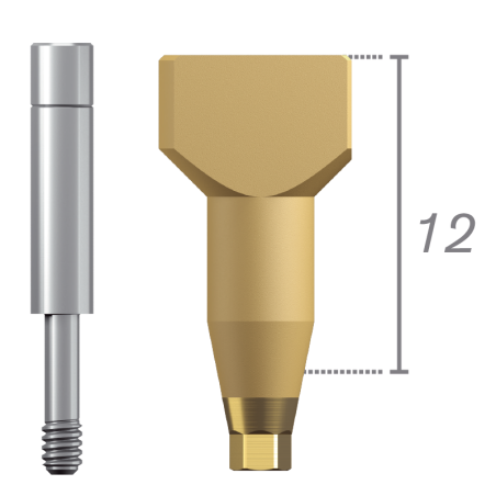 Scanbody direct implant + vis destockage