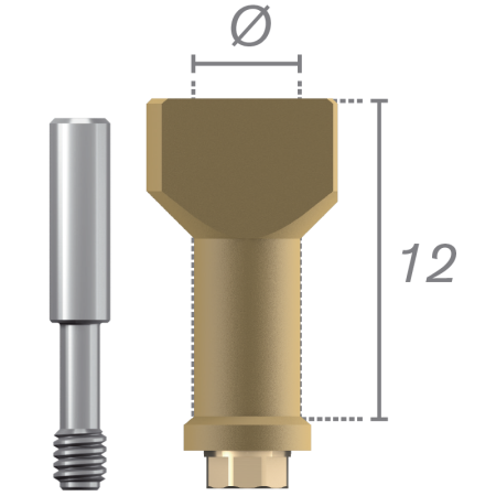 Scanbody direct implant + vis prix