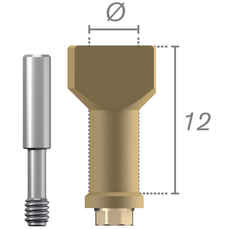 Scanbody direct implant + vis prix