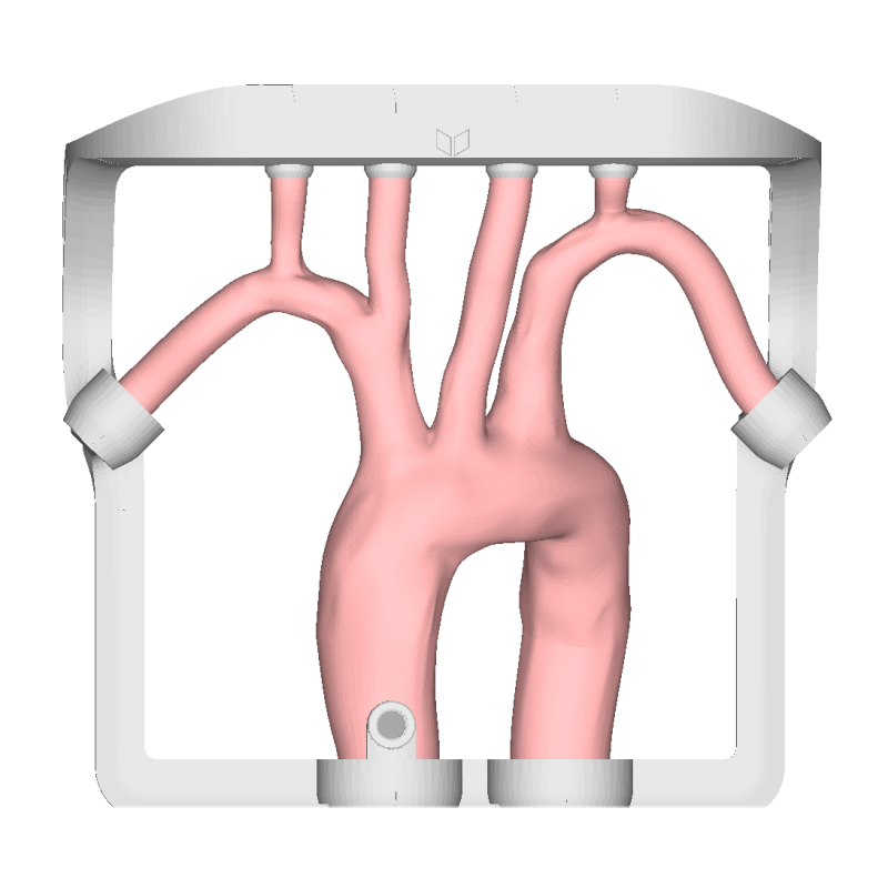 EVIAS Plus - Training Aortic Arch basket pas cher