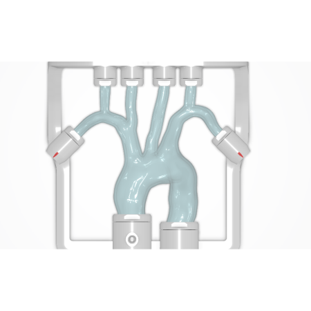 EVIAS Plus - Training Aortic Arch basket pas cher