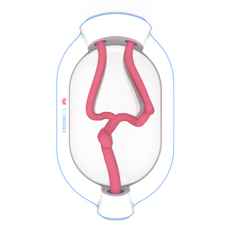 EVIAS-ISS-Cartridge- 0001 Medium en ligne des produits 