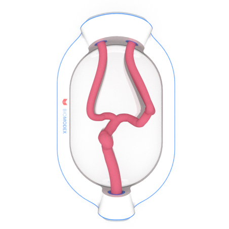 EVIAS-ISS-Cartridge- 0001 Medium en ligne des produits 