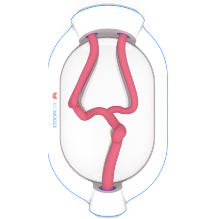 EVIAS-ISS-Cartridge- 0001 Hard s'inspire de l'anatomie humaine