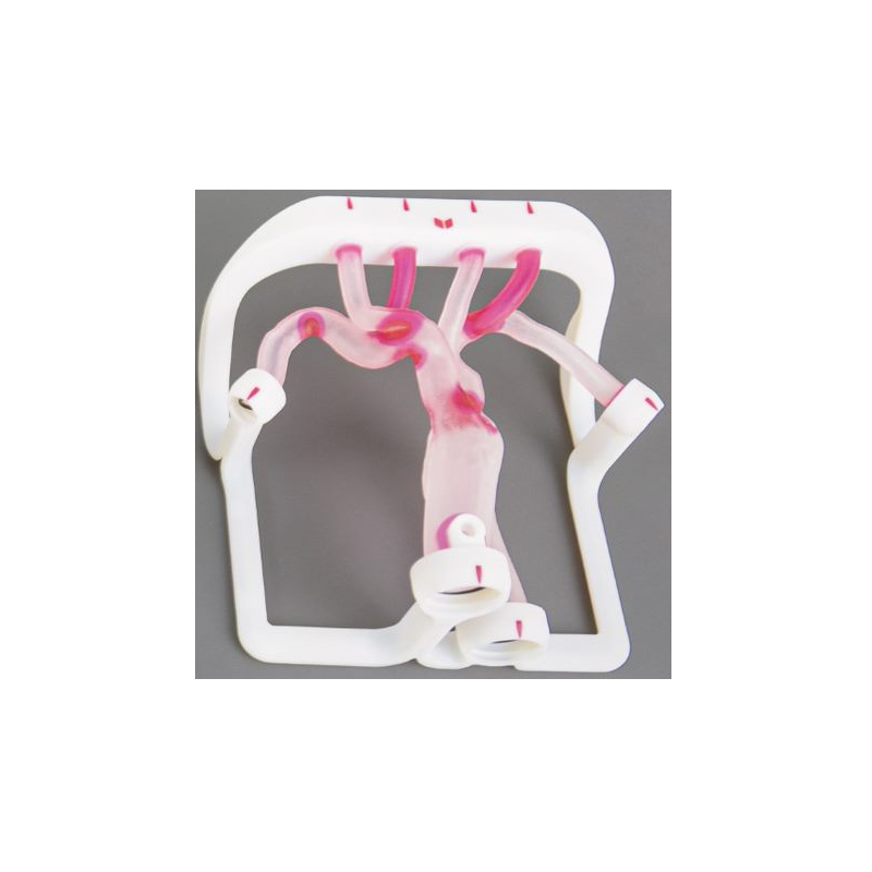 EVIAS Plus - Type III Aortic Arch soldes