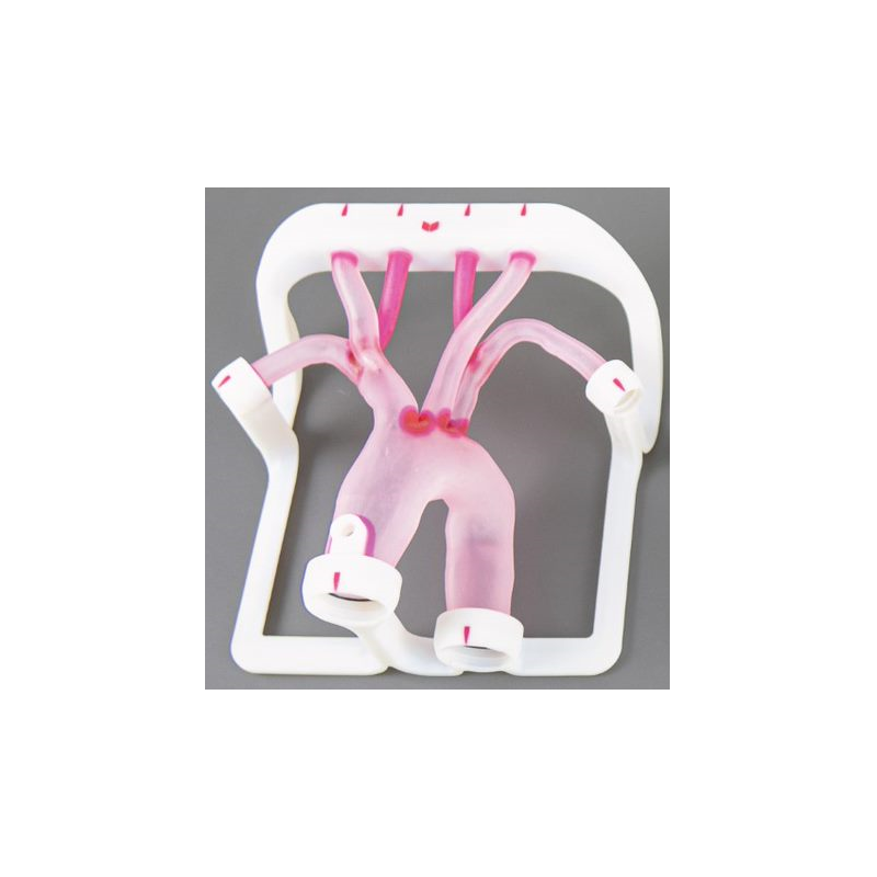 EVIAS Plus - Type I Aortic Arch l'achat 