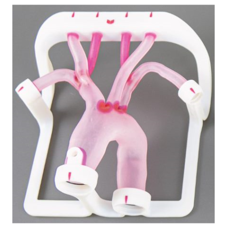 EVIAS Plus - Type I Aortic Arch l'achat 